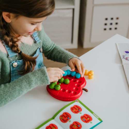 Jednoosobowe gry logiczne Smart Games