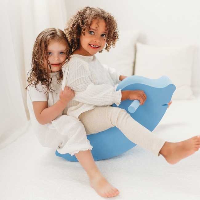 Zabawka ruchowa Moes - Delfin