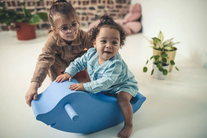 Zabawka ruchowa Moes - Delfin