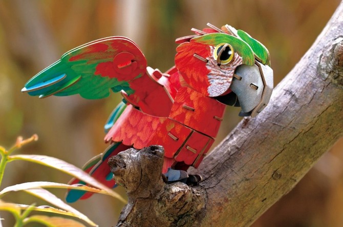 Kolorowa papuga do złożenia z kartonu