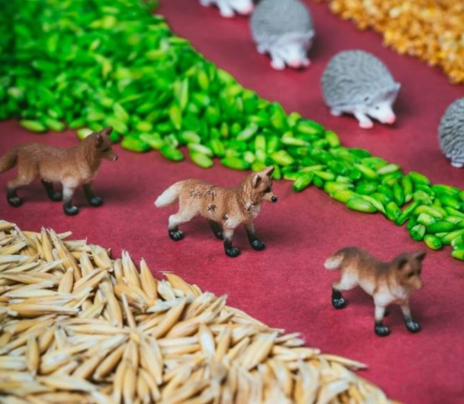 Butelka do integracji sensorycznej i obserwacji Petit Boum las