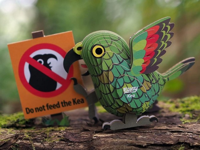 Papuga Kea układanka 3d do złożenia