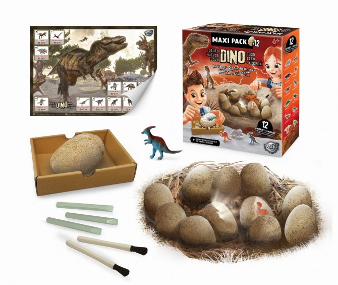 Jajka do rozłupania Buki