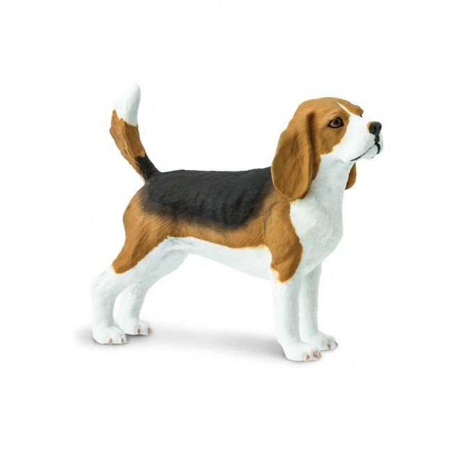 Figurka Safari Ltd. - Pies Beagle