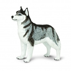 Figurka Safari Ltd. - Pies Husky Syberyjski