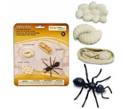 Zestaw Figurek Safariology Safari Ltd. - Cykl życia Mrówki