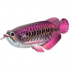 Eko Układanka 3D Eugy - Arowana Azjatycka