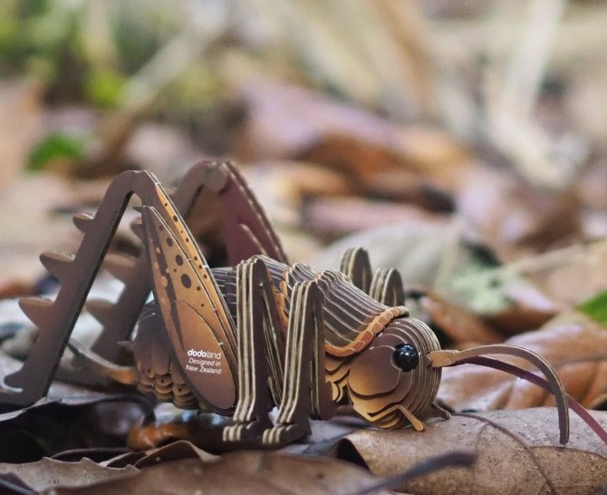 Eko Układanka figurka z kartonu 3D Eugy - Owad Weta Olbrzymia