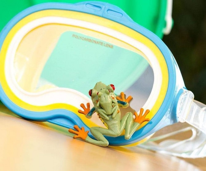 Figurka Safari Ltd Żaba rzekotka