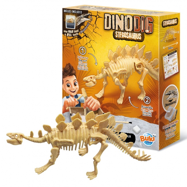 Mały paleontolog Buki - Stegozaur