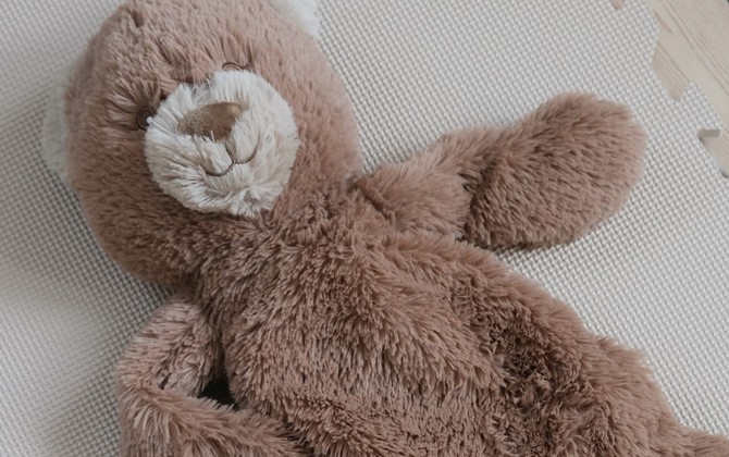 Obciążony Pluszak Heavy Teddy That's Mine – Idealny na Relaks i Wyciszenie w kolorze brązowym