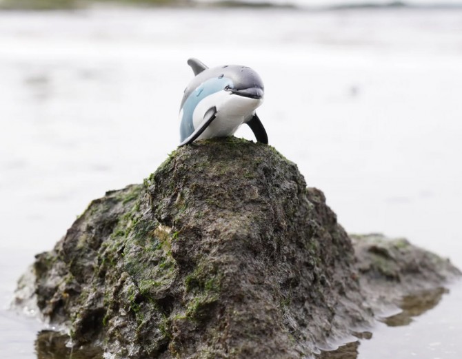 Figurka Safari Ltd Delfin Białoboki Atlantycki
