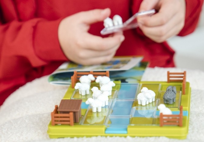 Gra logiczna Łamigłówka dla jednej osoby Smart Games Counting Sheep