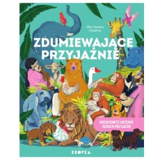Książka "Zdumiewające przyjaźnie" Wydawnictwo Kropka