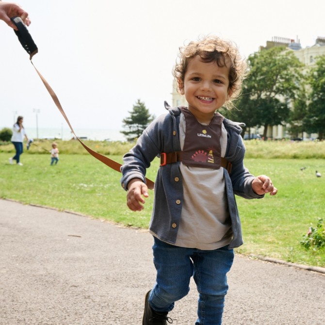 Szelki bezpieczeństwa LittleLife - Stegozaur
