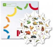 Paleta S1 środowisko. Tarcze ćwiczeń Epideixis