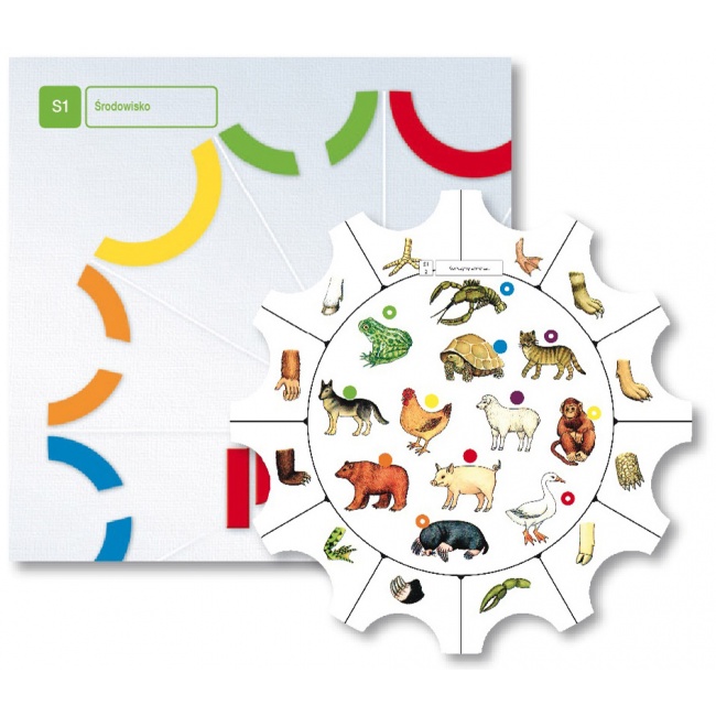 Paleta S1 środowisko. Tarcze ćwiczeń Epideixis