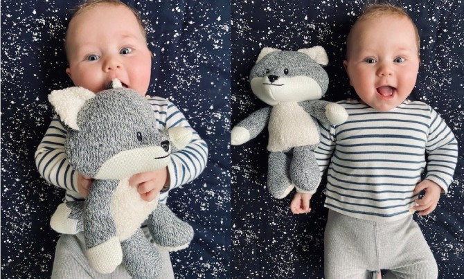 Uspokajający Lisek Flow Amsterdam - Robin the Fox Szary