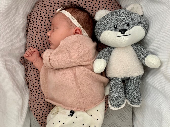 Uspokajający Lisek Flow Amsterdam - Robin the Fox Szary