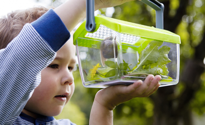 Pudełko na owady Haba - Terra Kids