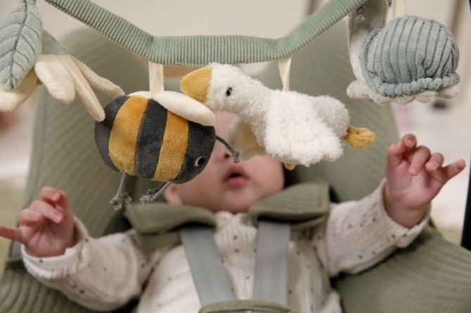 Zawieszka interaktywna Little Dutch - Little Goose