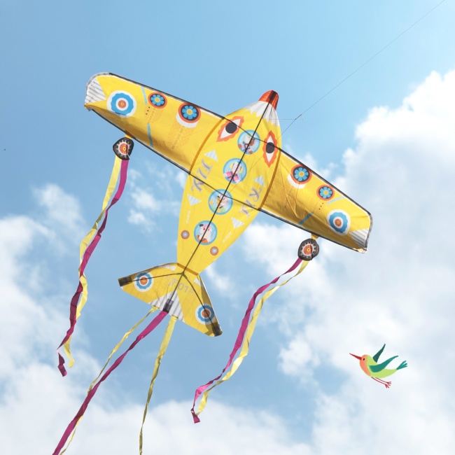 Latawiec Djeco - Maxi Plane
