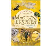 Książka "Magiczny ekspres cz. 2 Między światłem a cieniem" wydawnictwo Media Rodzina