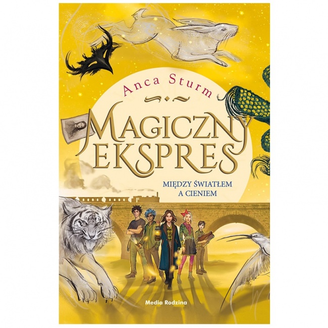 Książka "Magiczny ekspres cz. 2 Między światłem a cieniem" wydawnictwo Media Rodzina