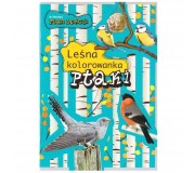 Leśna kolorowanka. Ptaki wydawnictwo Multico
