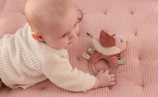 D.・Birds nest＊Ｂ＆Ｇmodel master◇希少◇ Grzechotka Ptaszek Little Dutch - Flowers & Butterflies | Sklep