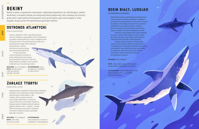 Książka "Zwierzęta od A do Z" wydawnictwo Kropka