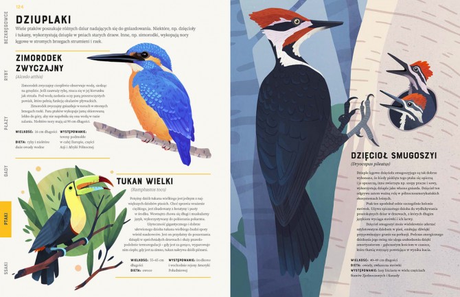 Książka "Zwierzęta od A do Z" wydawnictwo Kropka