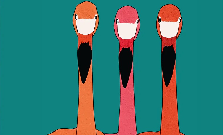 Puzzle 1000 elementów Hummingbird - Toucan Toucan