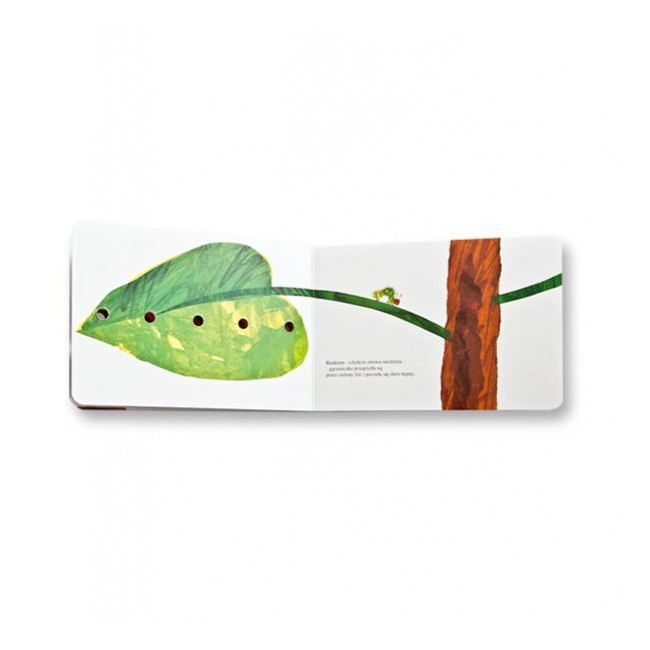 Książka Bardzo głodna gąsienica XL - Eric Carle