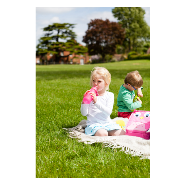 Bidon LittleLife - Dinozaur