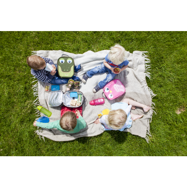 Bidon LittleLife - Dinozaur