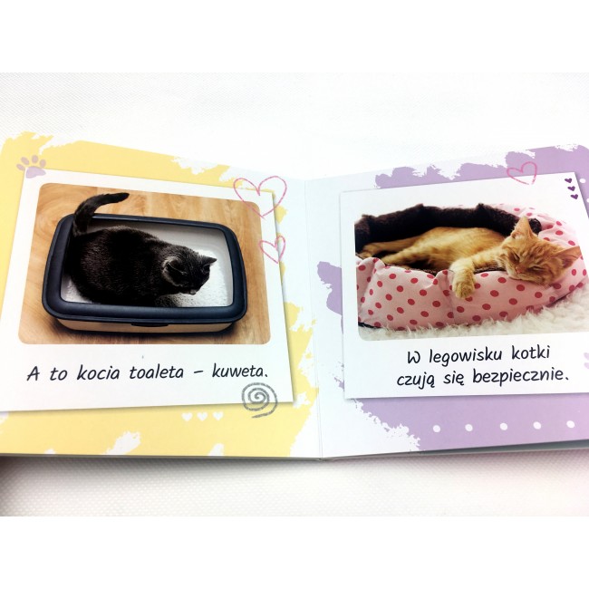 Książka Kapitan Nauka Jakie to ciekawe. Kotki