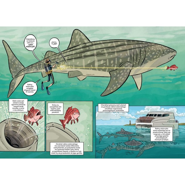 Książka "Rekiny - najlepsi myśliwi w przyrodzie" wydawnictwo Nasza Księgarnia