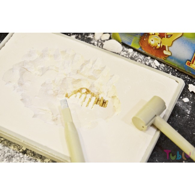 Mały archeolog Buki - Tyranozaur