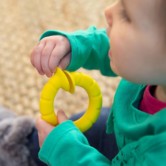 BoboPrzyssawki Kółeczka Fat Brain Toys PipSquigz Ringlets