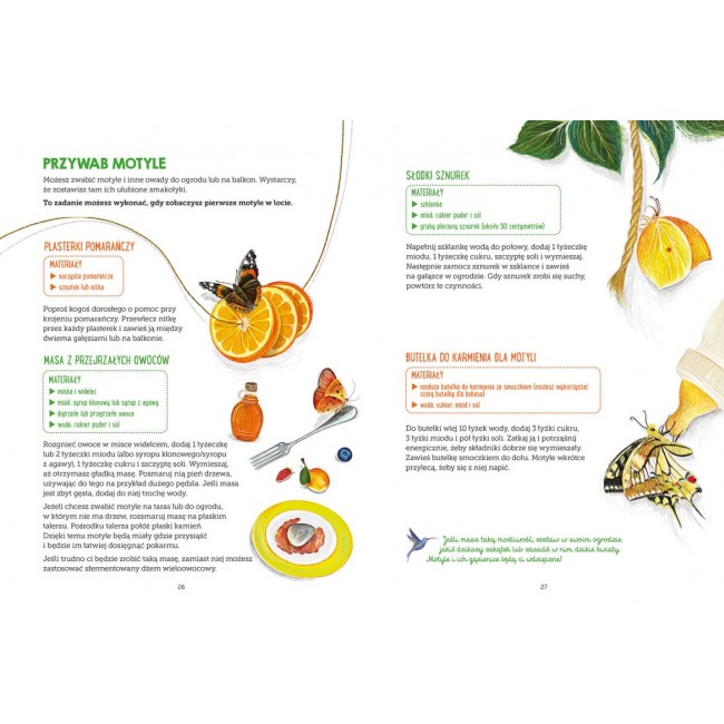 Książka "Owady. Mój zeszyt obserwacji przyrodniczych" wydawnictwo Harperkids