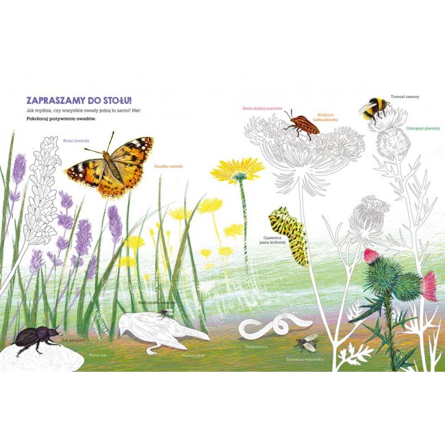 Książka "Owady. Mój zeszyt obserwacji przyrodniczych" wydawnictwo Harperkids
