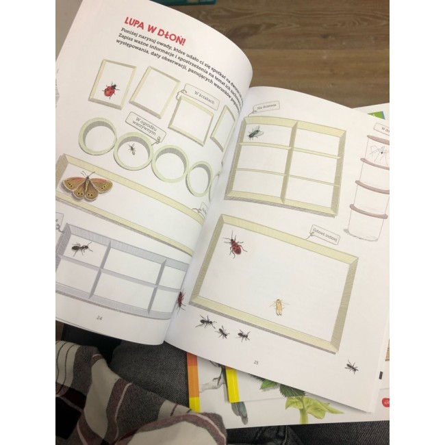 Książka "Owady. Mój zeszyt obserwacji przyrodniczych" wydawnictwo Harperkids