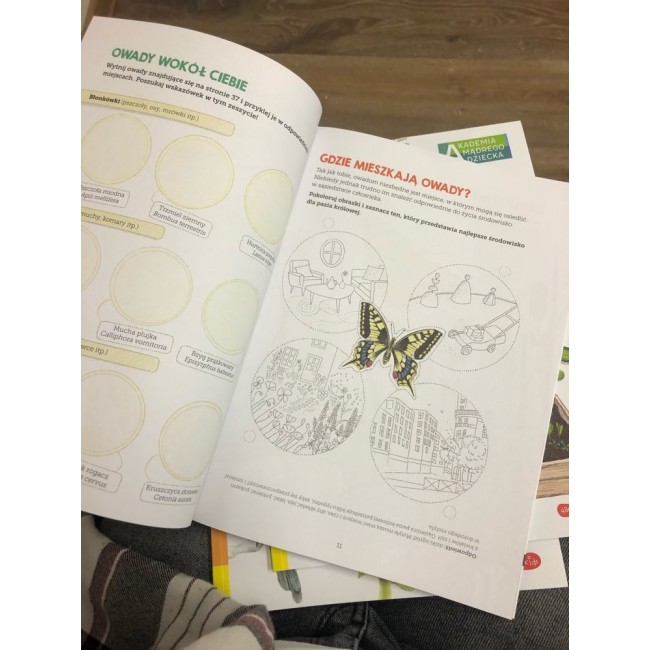 Książka "Owady. Mój zeszyt obserwacji przyrodniczych" wydawnictwo Harperkids