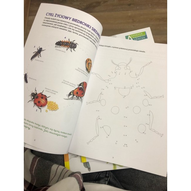 Książka "Owady. Mój zeszyt obserwacji przyrodniczych" wydawnictwo Harperkids