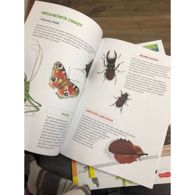 Książka "Owady. Mój zeszyt obserwacji przyrodniczych" wydawnictwo Harperkids