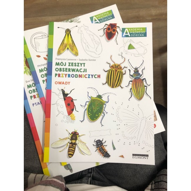 Książka "Owady. Mój zeszyt obserwacji przyrodniczych" wydawnictwo Harperkids