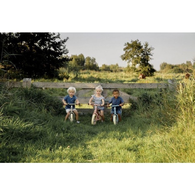 Rower biegowy Little Dutch - Oliwkowy Mat