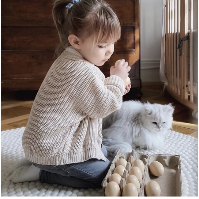 Gra MEMO dźwiękowe Vilac - Jajka 2x6 elementów