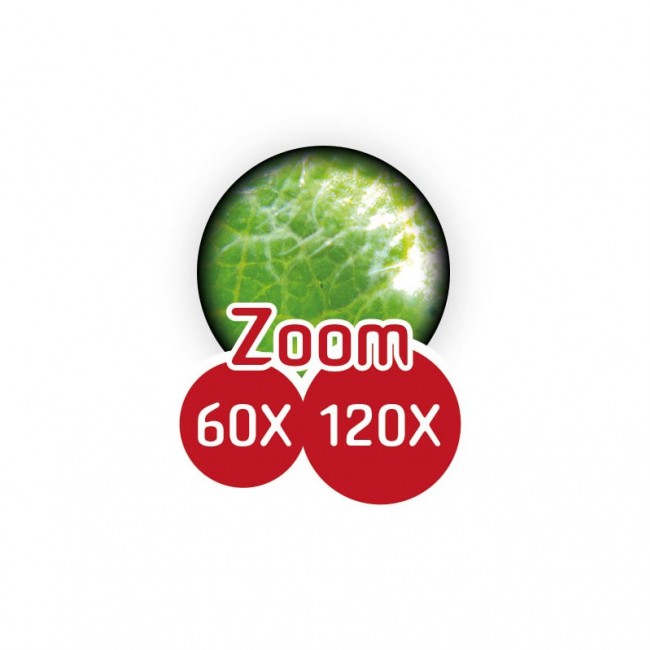 Mikroskop kieszonkowy Buki